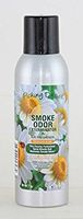 Paul Hoge Creations Smoke Odor Exterminator 7oz Large Spray, Picking Daisies