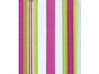 Small Fuchsia Pink & Lime Stripes 7x2x4" Cello Cellophane Treat Food Snack Bags (25 ct)