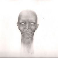 Vacant Fever: Heparin & Saline (CD)