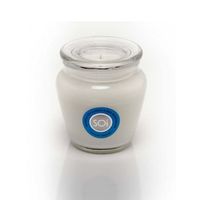 SOI Candles Island Breeze 16 Ounces Jar Candle
