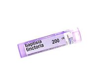 BOIRON USA - Baptisia Tinctoria 200ck [Health and Beauty]