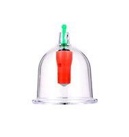 HANGER® Cupping Transparent 24 Cans Chinese Advanced Cupping Massage Therapy Set Different Size - Facelift Pain Relief Reduce Cellulite Lymph Drain Anti-aging Reducer Increase