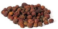 Napiers Crataegus Laevigata - Hawthorn Berry 500g - Natural Herbal Supplement for Brain & Circulation