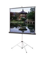 Carpeted Picture King Matte White 92" Diagonal Portable Projection Screen