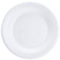 Dart Quiet Classic Laminated Foam Dinnerware 101/4-in Plate