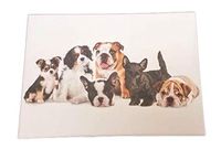 Group of Puppies Box Set of 15 Note Cards 3.5" x 5" with Envelopes