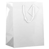 JAM PAPER Glossy Gift Bags with Rope Handles - Large - 10 x 5 x 13 - White - Bulk 100 Bags/Pack