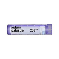 Boiron Ledum Palustre 200CK, 80 Pellets, Homeopathic Medicine for Insect Bites
