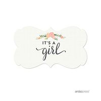 Andaz Press Fancy Frame Rectangular Label Stickers, It's a Girl!, Floral Roses, 36-Pack