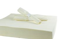 Simulinen Dinner Napkins - Like Cloth Yet Disposable - Unfolded 16"x16" (Champagne 250 Count)