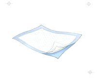 Durasorb Underpads Case of 300/17 x 24"