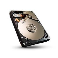 Seagate Enterprise Performance 10K HDD ST450MM0026