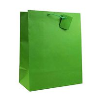 Allgala 12PK Value Premium Solid Color Paper Gift Bags (13"LG-Green-GP50072)
