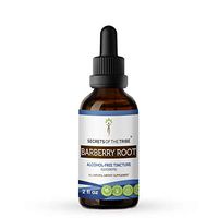 Barberry Root Tincture Alcohol-Free Extract, Organic Barberry (Berberis Vulgaris) Dried Root Bark Tincture Supplement (2 FL OZ)