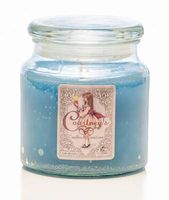 Courtney's Candles Moonlight Reflections Maximum Scented 16oz Medium Jar Candle