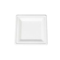 Go-Green Eco-Friendly 100% compostable, Sugarcane Fiber, Disposable 10-Inch Square Plate, 125 Pack.