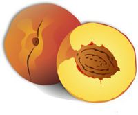 Peach Clean Burning Aroma Oil 8oz (for Oil Lamps/Reed diffusers/Candles)