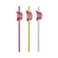 Cakewalk (Party) 6530 Assorted Watermelon Straws, Multicolor