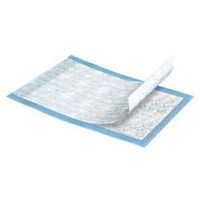 Units Per Case 150 Provide Underpad Units Per Case 150 SCA Hygiene Products 61310 by SCA
