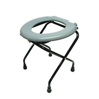 CHenXy Toilet Chair Toilet Seat Chair Home Simple Thick Stainless Steel Mobile Shower Chair, Bearing 100kg &&& (Color : A)