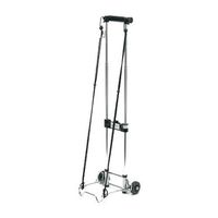 Remin Kart a Bag Flite Lite C525