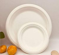 [125 COUNT] 6-inch Round Heavy Duty Sturdy Disposable Plates Made by Natural Sugarcane Bagasse - Biodegradable & Eco-friendly, Paper Plastic Free 100% Alternative by Go-Green [125,6-inch]