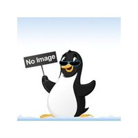 Grey Pneumatic 1018USD Socket