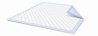 McKesson Lite Underpads 23 X 36 Inch, Light Absorbency, Case of 120 (10 per Bag, 12 Bags per Case)