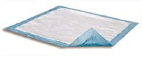CS/200 Attends Dri-Sorb Underpads 23 x 24 Inch UFS230 Case