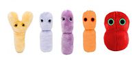 GIANTmicrobes Probiotics 5-Pack