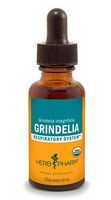 Herb Pharm Certified Organic Grindelia Liquid Extract for Respiratory System Support - 1 Ounce