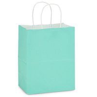 NW Aqua White Kraft Paper Shopping Bags - Cub Size - 8 x 4 3/4 x10 1/4in. - 250 Pack