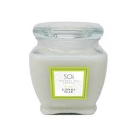 SOI Candles Citrus Teak 16 Ounces Jar Candle