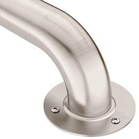 Moen R7424 Home Care 24-Inch Bath Safetey Bathroom Exposed Screw Grab Bar, Stainless