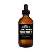 Birch Boys Lions Mane Tincture | Organic Liquid Mushroom Extract Supplement | Lion's Mane for Mental Clarity, Focus, Memory, Brain, Nerve Growth, Nootropic