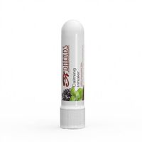 Dherbs Calming Inhaler, 1 Milliliters