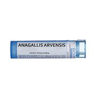 Boiron Anagallis Arvensis 30c, Blue, 80 Count