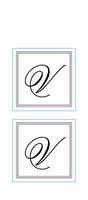 MONOGRAM SEALS - V - 30 Count