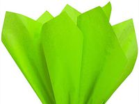 Citrus Lime Green Art DIY Crafts Tissue Paper for Gift Wrapping 15"X20" 5 Sheets