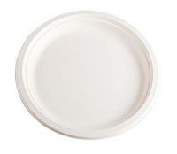 10 inch Biodegradable Sugarcane Classic Round Plate (Case of 300)