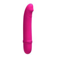 FUNZZY Portable 12 Frequencies C-Msager Orol Vibranter Waterproof Six Toys for Women (Rose Red)