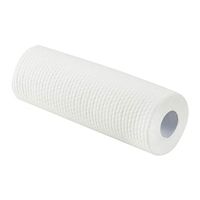 BESTONZON Disposable Dish Cloth Cleaning Towels Oil-Absorbing Dish Towels Kitchen Household Cleaning Wipes (1 Roll/50 pieces)