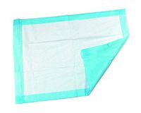 AMZ Underpads 22" x 24". Pack of 200 Disposable Economy Fluff Underpads for Incontinence Light Absorbency Blue Poly Backsheet and Non-Woven Topsheet Great for Dogs, Cats