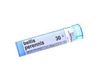 BOIRON USA - Bellis Perennis 30c [Health and Beauty]