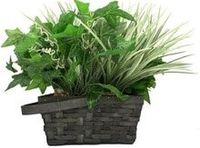 Spy-MAX Xtreme Battery Life Video 4K Surveillance Products - House Plant Hidden 4K Camera w/DVR (90-Day Standby Battery) - Onboard Storage - Record up to 128GB - NO Audio by USA Law - Video ONLY