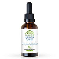 Stinging Nettle Leaf B60 Alcohol-Free Herbal Extract Tincture, Super-Concentrated Organic Stinging Nettle (Urtica Dioica) 2 fl oz