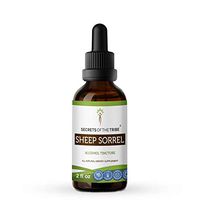 Sheep Sorrel Tincture Alcohol Extract, Organic Sheep Sorrel (Rumex Acetosella) Dried Herb 2 oz