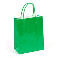 FLOMO Nygala GB530L Green Large Gift Bag (12/60)