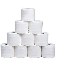 ATACT 10 Rolls Toilet Paper, 3-Ply White Cleaning Paper, Smooth Soft Professional Series Premium Rapid Dissolving Toilet Paper Hand Towels for Daily Use, Individually Wrapped Standard (10PCS-White)