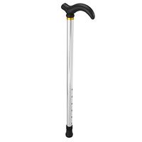 Healifty Adjustable Cane Hand Walking Stick Hiking Trekking Poles for Men Women Elderly Seniors Handicap (Silver)